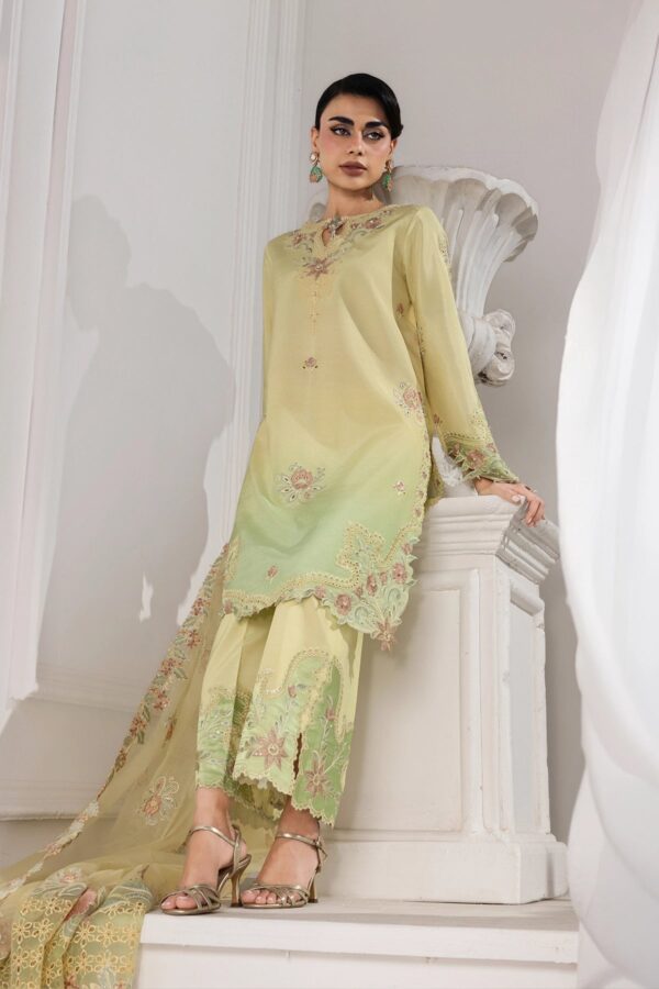 Lumeire silk '26 rang rasiya | lucia Lumeire Silk '26 Rang Rasiya | Lucia - Image 3