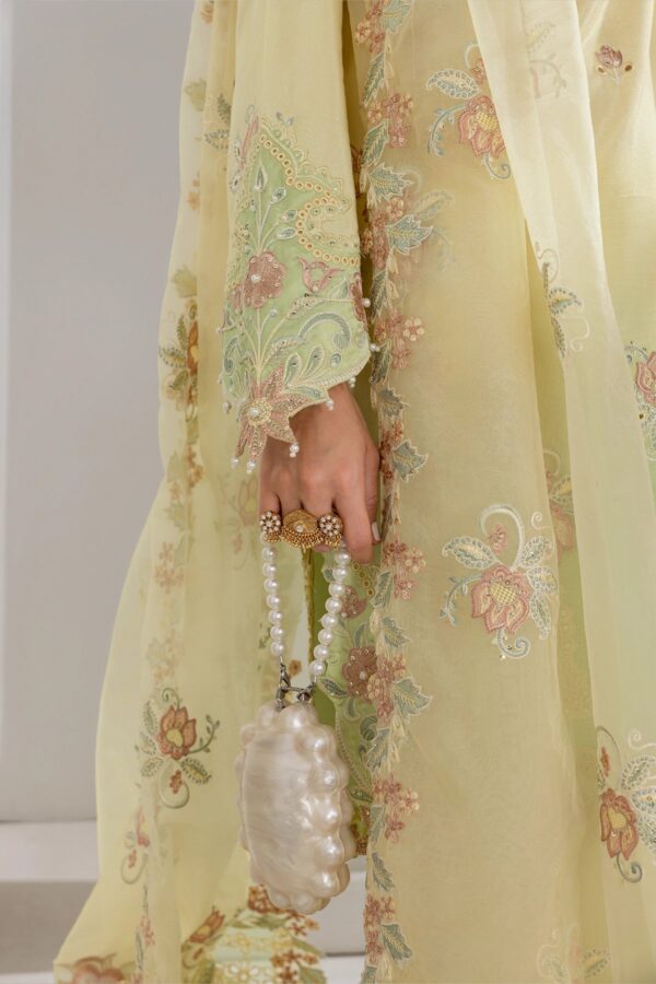 Lumeire silk '26 rang rasiya | lucia Lumeire Silk '26 Rang Rasiya | Lucia - Image 4
