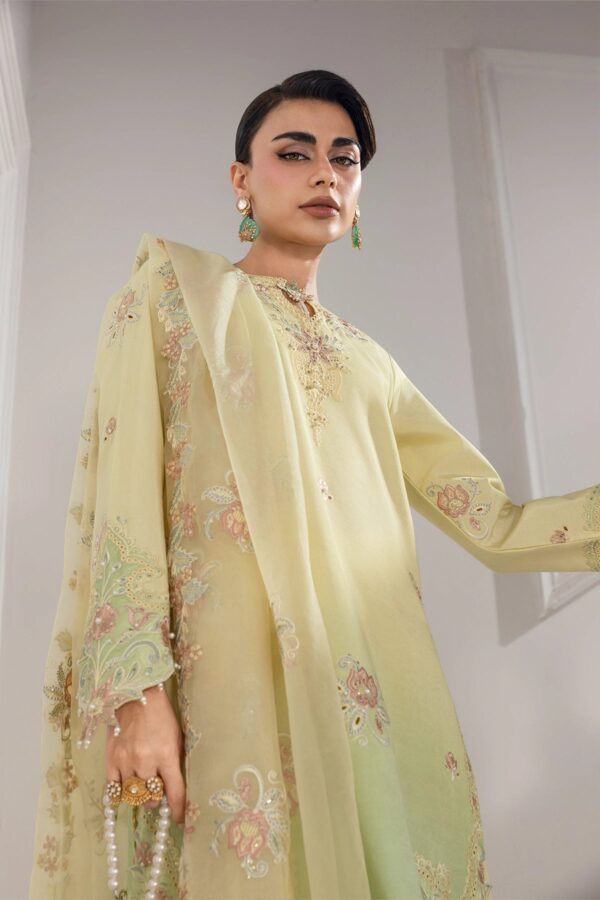 Lumeire silk '26 rang rasiya | lucia Lumeire Silk '26 Rang Rasiya | Lucia - Image 5