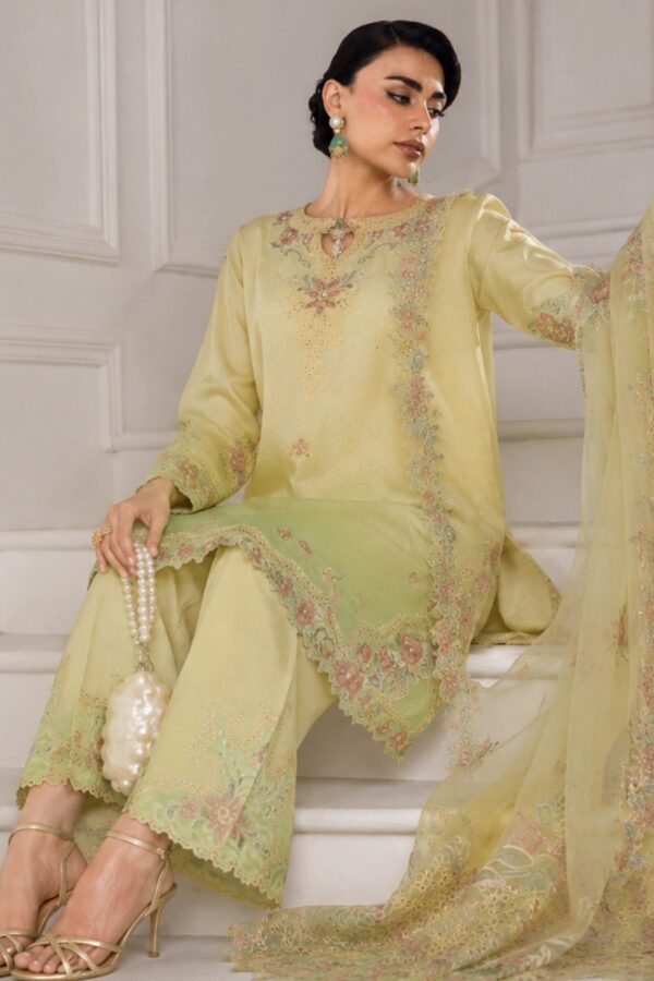 Lumeire silk '26 rang rasiya | lucia Lumeire Silk '26 Rang Rasiya | Lucia - Image 6