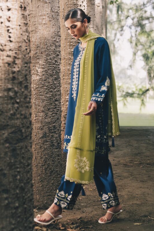 Pret Fall 2026 Zara Shahjahan | Sabz