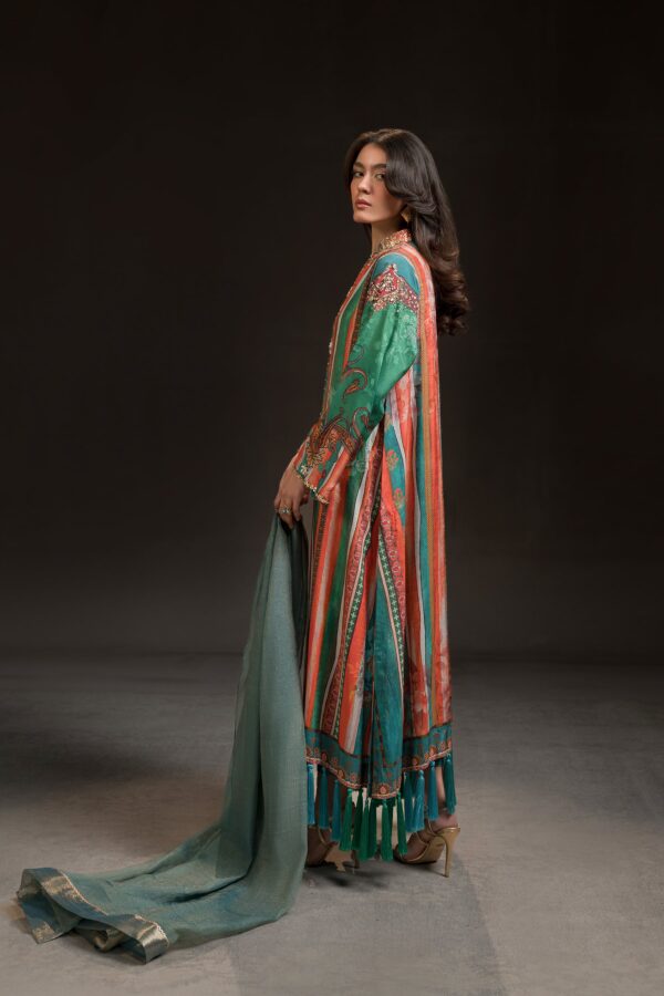 AK Kaftans Ammara Khan | Multi Colour Burst Kaftan (D-09)– alternate view