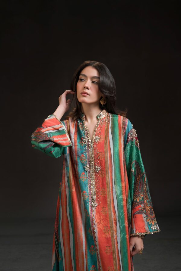 AK Kaftans Ammara Khan | Multi Colour Burst Kaftan (D-09)– detail view 2