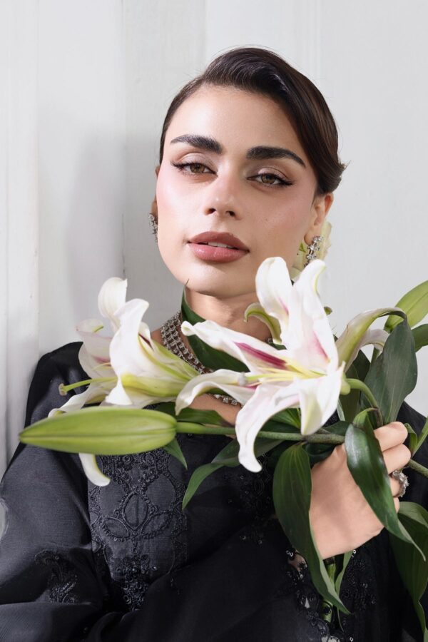 Lumeire silk '26 rang rasiya | eclipse Lumeire Silk '26 Rang Rasiya | Eclipse - Image 6
