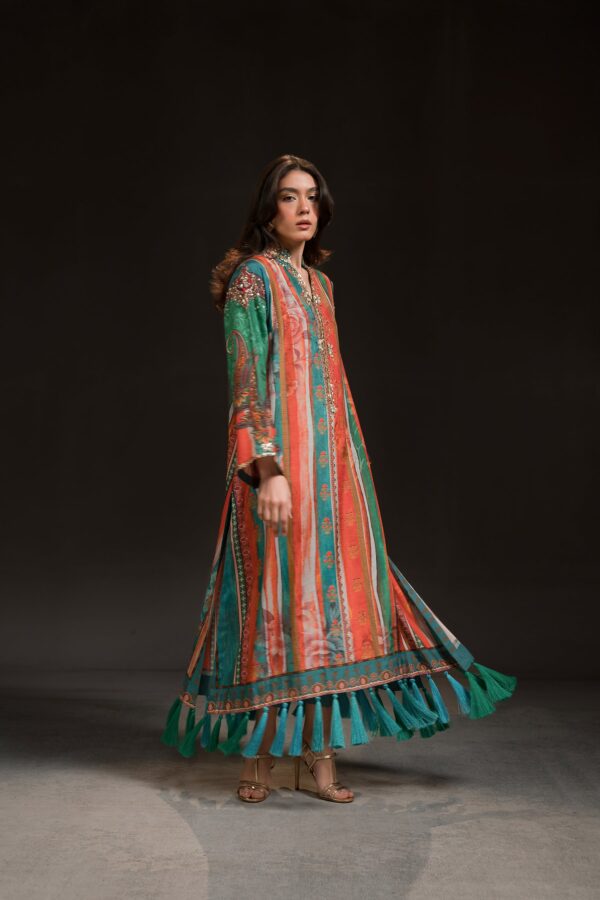 AK Kaftans Ammara Khan | Multi Colour Burst Kaftan (D-09)– detail view 4