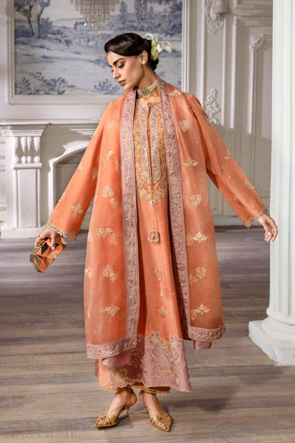 Alternative view of Lumeire Silk '26 Rang Rasiya | Clara