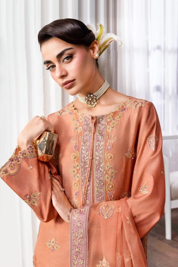 Lumeire silk '26 rang rasiya | clara Lumeire Silk '26 Rang Rasiya | Clara - Image 5