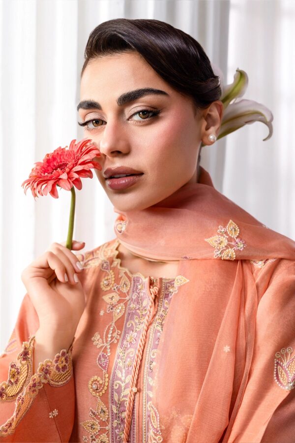Lumeire silk '26 rang rasiya | clara Lumeire Silk '26 Rang Rasiya | Clara - Image 6