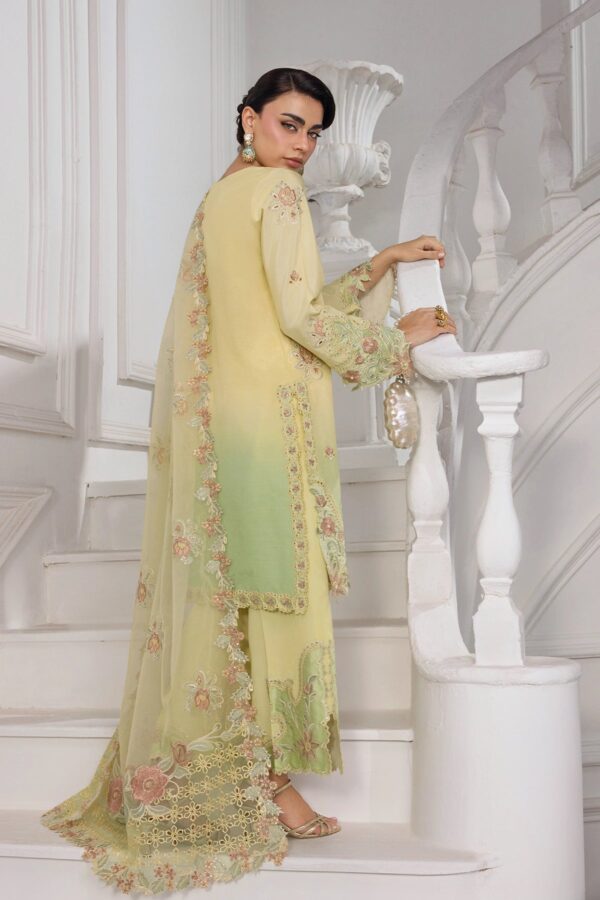 Alternative view of Lumeire Silk '26 Rang Rasiya | Lucia