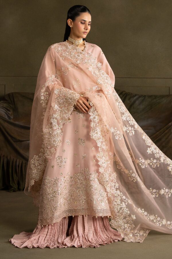 Untitled-1_0002_aks03257 Wedding Festive Cross Stitch | FLORAL MEADOW-3PC SILK EMBROIDERED SUIT– Untitled-1 0002 AKS03257