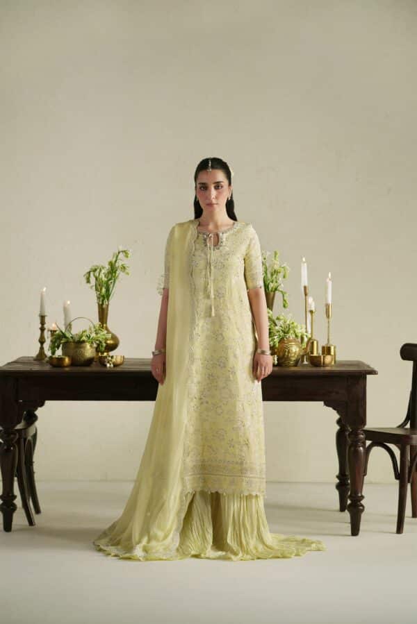 WEB_1-MTB05974 Gulab Butter Yellow Shirt Set | Raw Silk Edit'26 Vera World