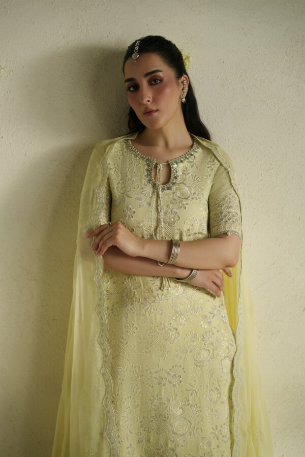 WEB_2-MTB06049 Gulab Butter Yellow Shirt Set | Raw Silk Edit'26 Vera World– WEB 2-MTB06049