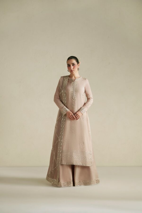 Web_4-mtb06714 Naqsh Soft Pink Shirt Set | Raw Silk Edit'26 Vera World– WEB 4-MTB06714