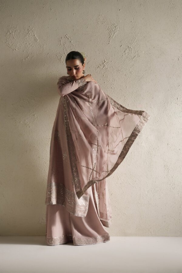 Web_6-mtb06797 Naqsh Soft Pink Shirt Set | Raw Silk Edit'26 Vera World– WEB 6-MTB06797