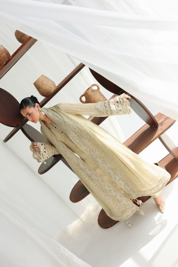 Qalamkar chiffon collection qcc-01 deena– detail view 12 Qalamkar Chiffon Collection QCC-01 DEENA– detail view 12
