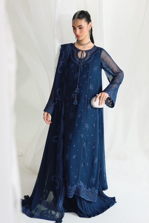 Qalamkar Chiffon Collection QCC-02 SHIREEN– detail view 12