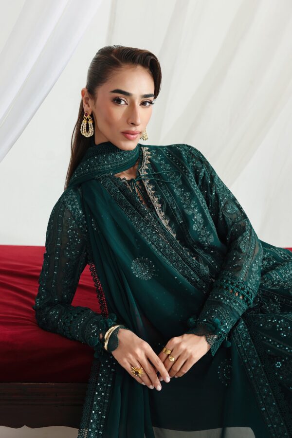 Qalamkar Chiffon Collection QCC-05 JANAAN– detail view 4