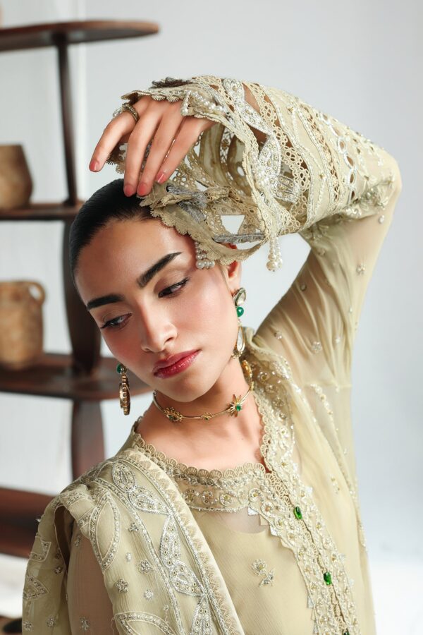 Qalamkar chiffon collection qcc-01 deena– detail view 5 Qalamkar Chiffon Collection QCC-01 DEENA– detail view 5