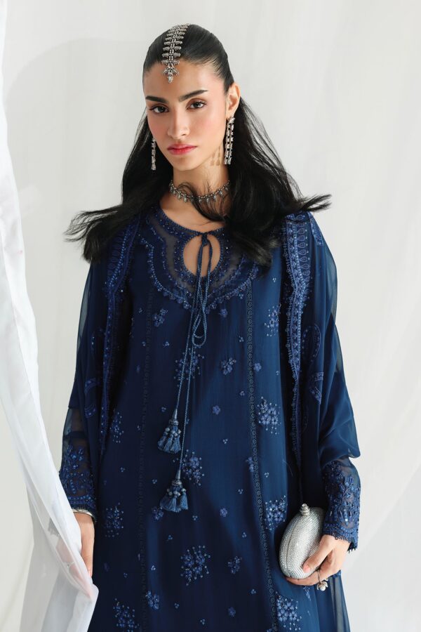 Qalamkar Chiffon Collection QCC-02 SHIREEN– detail view 3