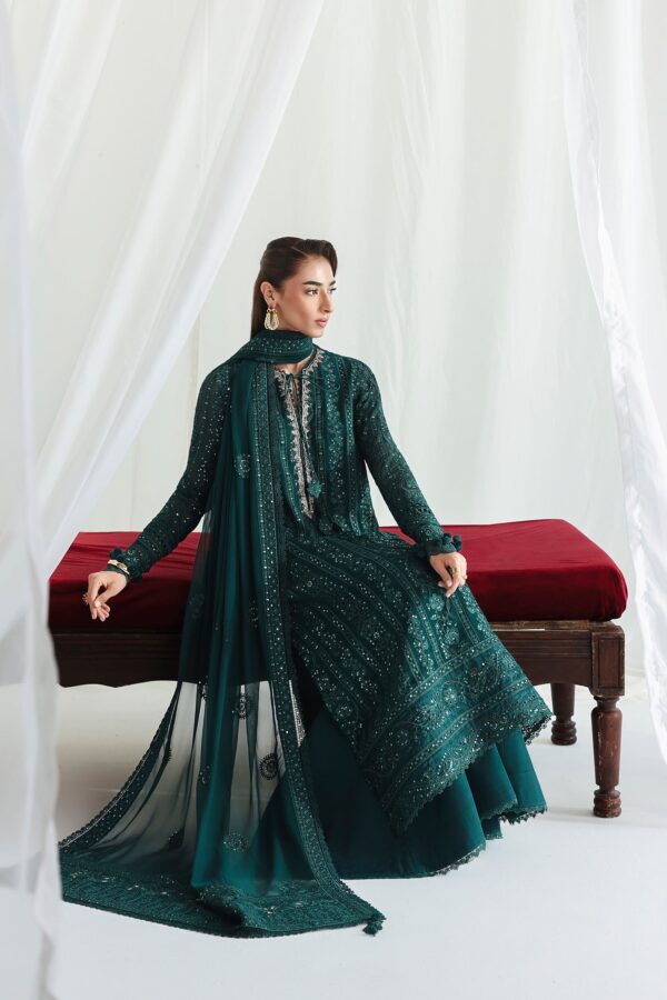 Qalamkar Chiffon Collection QCC-05 JANAAN– detail view 3