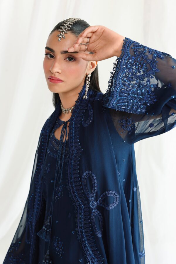 Qalamkar Chiffon Collection QCC-02 SHIREEN– detail view 4
