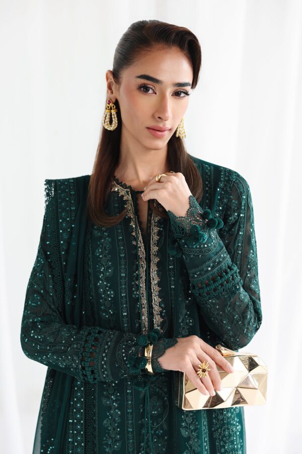 Qalamkar Chiffon Collection QCC-05 JANAAN– detail view 5