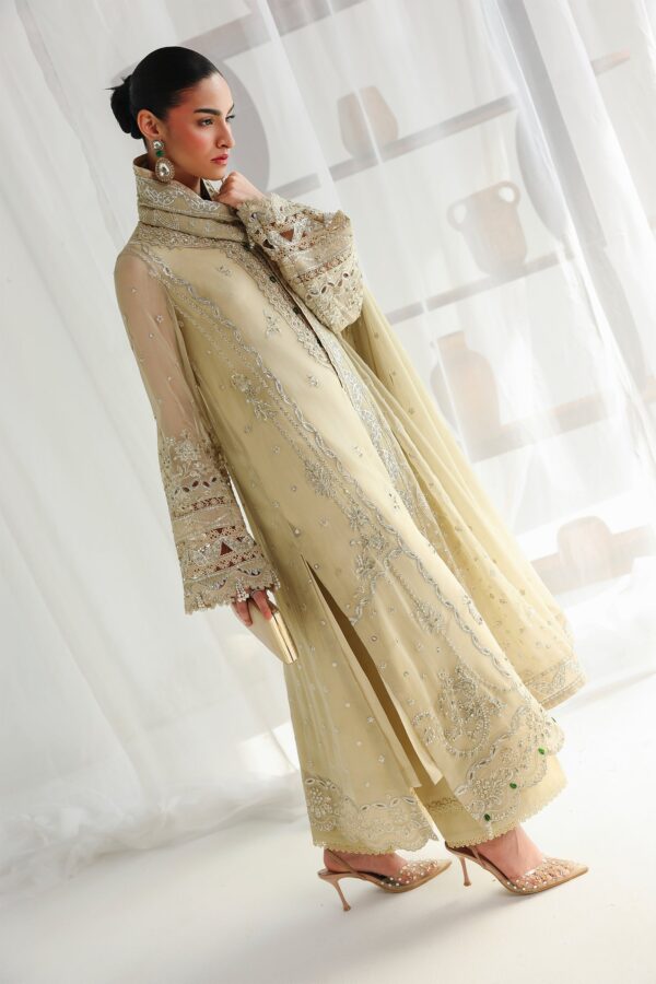 Qalamkar chiffon collection qcc-01 deena– detail view 6 Qalamkar Chiffon Collection QCC-01 DEENA– detail view 6