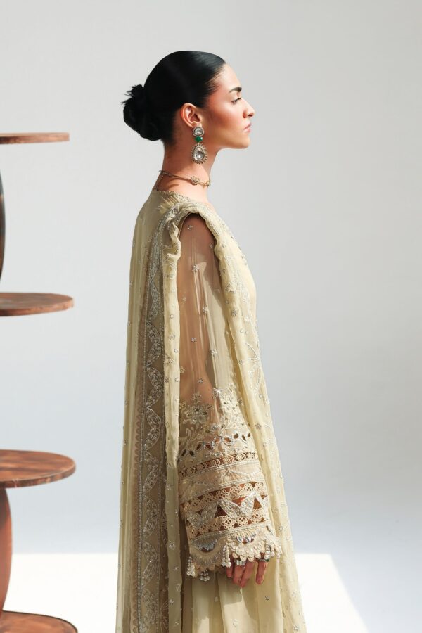 Qalamkar chiffon collection qcc-01 deena– detail view 7 Qalamkar Chiffon Collection QCC-01 DEENA– detail view 7