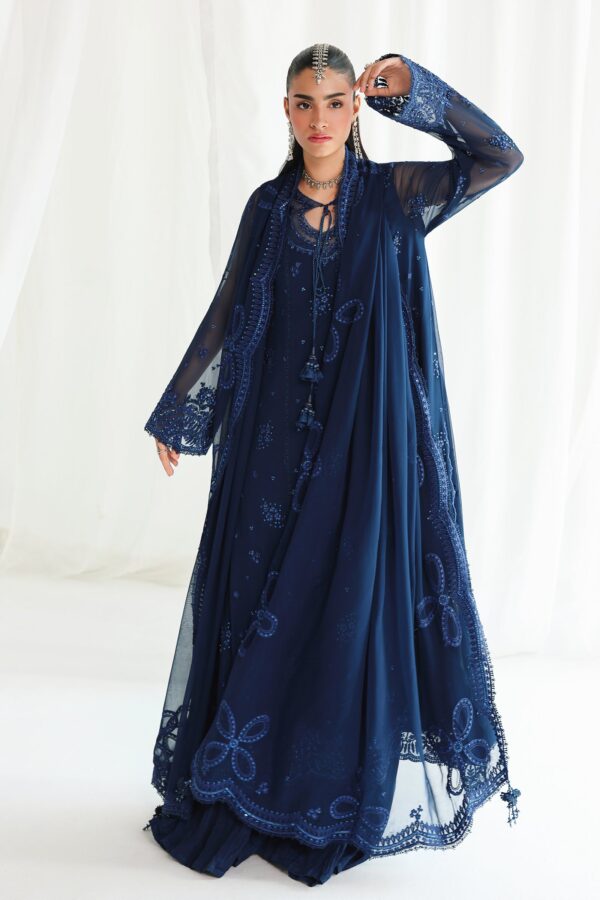 Qalamkar Chiffon Collection QCC-02 SHIREEN– detail view 2