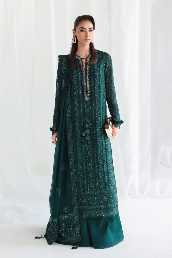 Qalamkar Chiffon Collection QCC-05 JANAAN– detail view 6