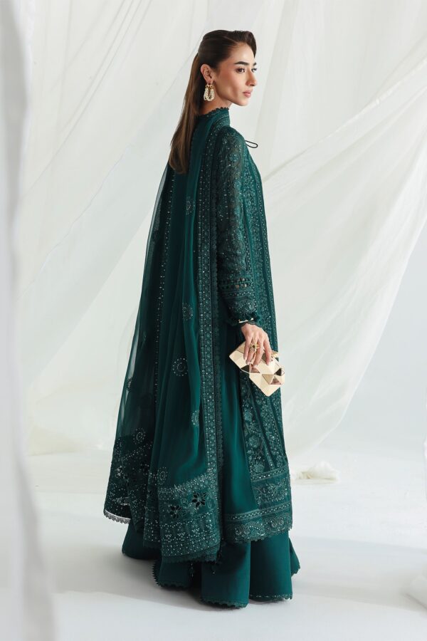 Qalamkar Chiffon Collection QCC-05 JANAAN– detail view 7