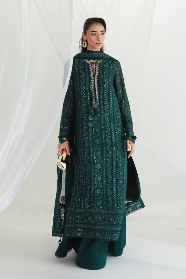 Qalamkar Chiffon Collection QCC-05 JANAAN– detail view 2