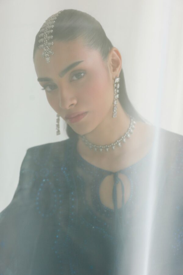 Qalamkar Chiffon Collection QCC-02 SHIREEN– detail view 8
