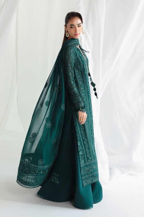 Qalamkar Chiffon Collection QCC-05 JANAAN– alternate view