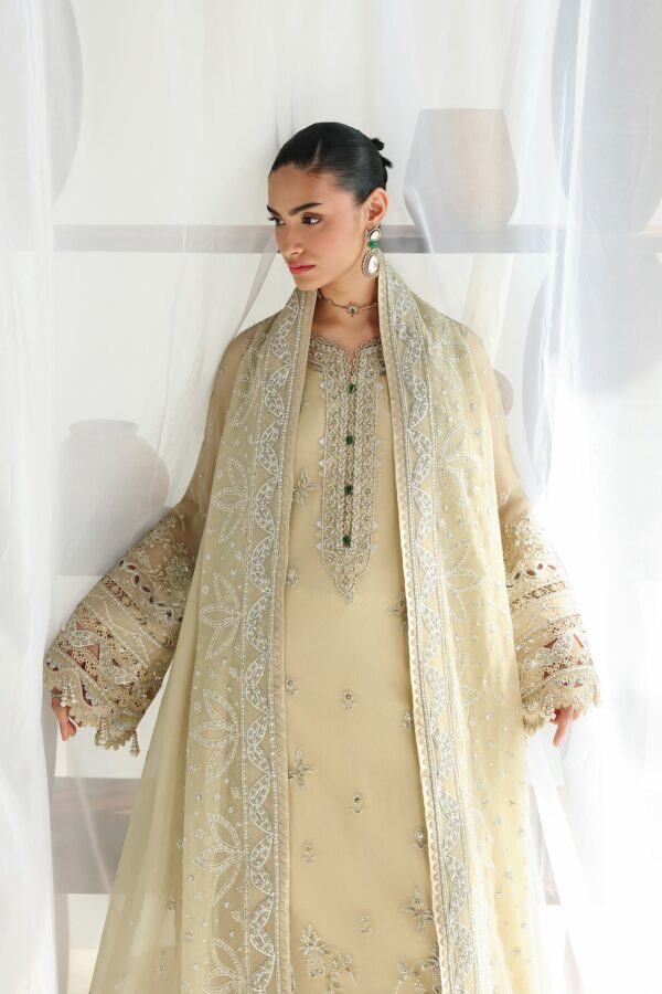 Qalamkar chiffon collection qcc-01 deena– detail view 11 Qalamkar Chiffon Collection QCC-01 DEENA– detail view 11