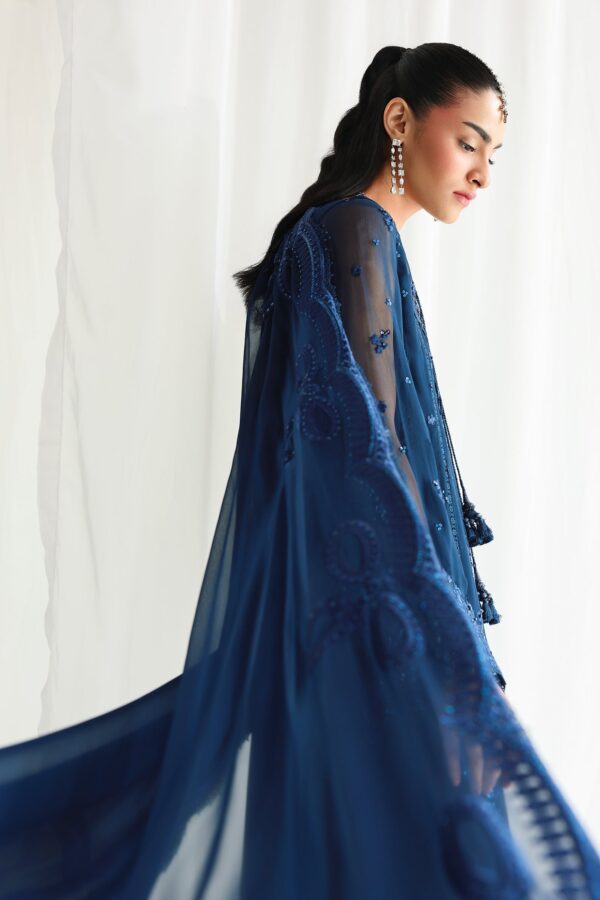 Qalamkar Chiffon Collection QCC-02 SHIREEN– detail view 9