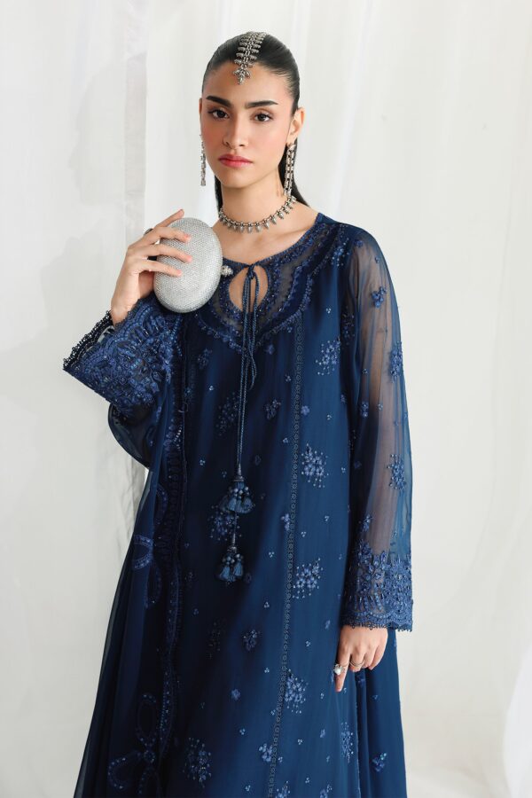 Qalamkar Chiffon Collection QCC-02 SHIREEN– detail view 10