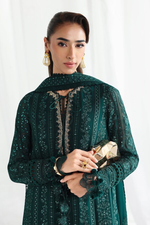 Qalamkar Chiffon Collection QCC-05 JANAAN– detail view 8