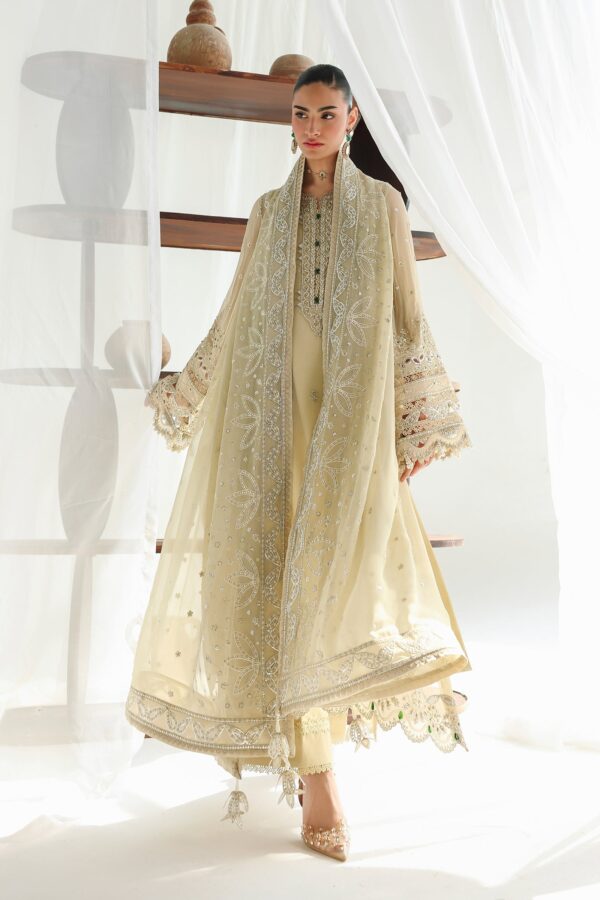 Qalamkar Chiffon Collection QCC-01 DEENA– alternate view