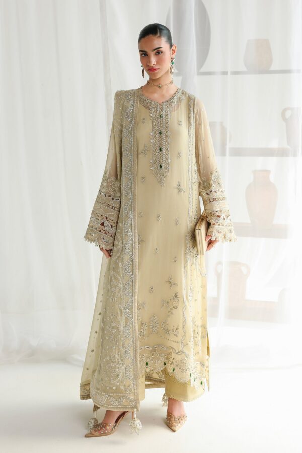 Qalamkar Chiffon Collection QCC-01 DEENA Qalamkar Chiffon Collection QCC-01 DEENA