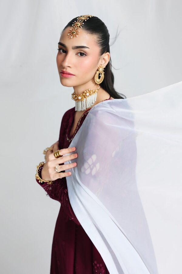 Qalamkar Chiffon Collection QCC-03 WAFA– red 6