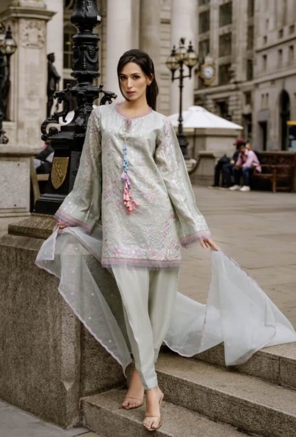 Nimr '26 collection