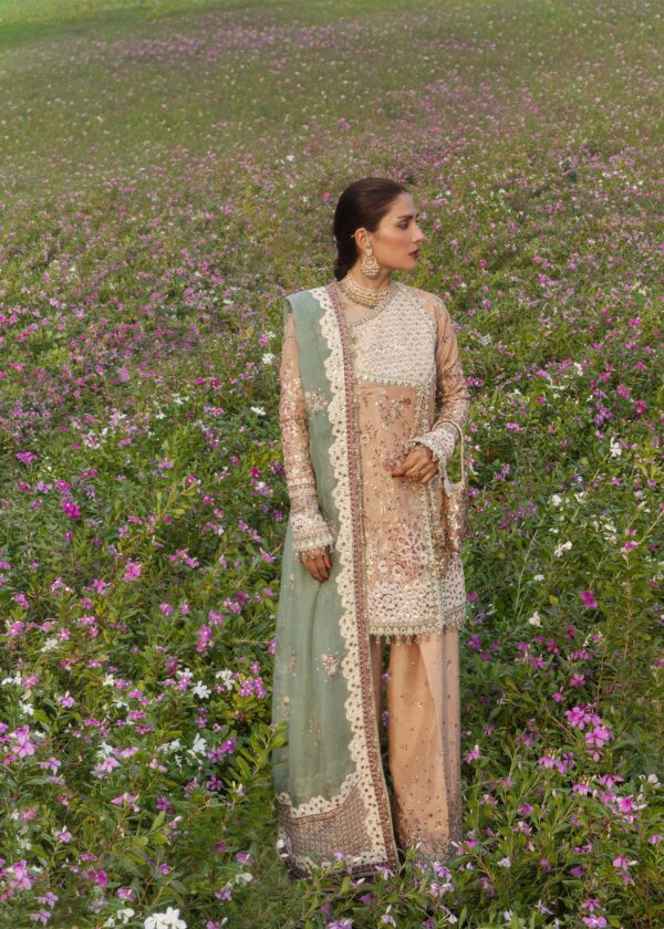 1E6A7578ed Hussain Rehar Festive Unstitched 2026 Edit II Gohar - Ara