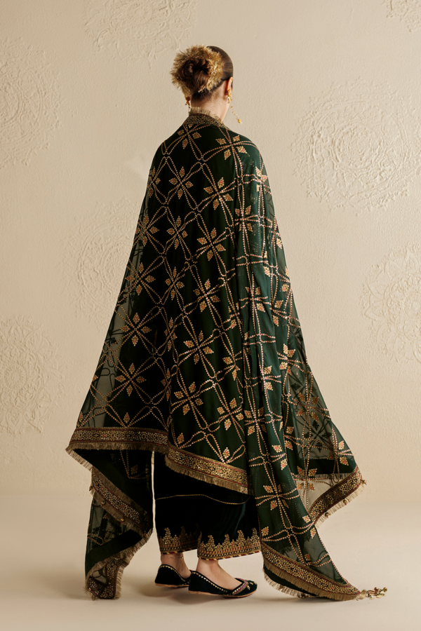 1L8A5947 Jazmin Chandni Velvet Formals 26 Embroidered Velvet Formal CVF26-D07– 1L8A5947
