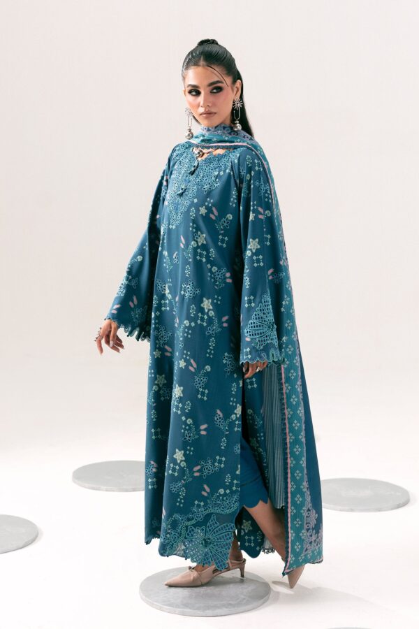 Qalamkar QPrints Winter 26 QPW-06 (B) Rohi– 1 17 Qalamkar QPrints Winter 26 QPW-06 (B) Rohi– 1 17