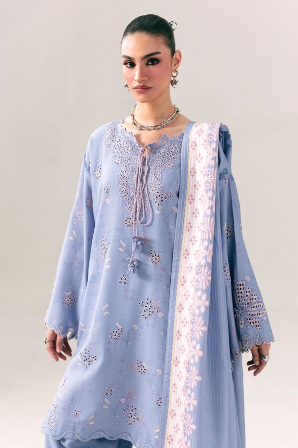 Qalamkar qprints winter 26 qpw-06 (a) beena– detail view 6 Qalamkar QPrints Winter 26 QPW-06 (A) Beena– detail view 6