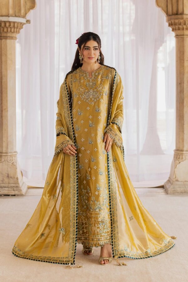 Rang Rasiya Chatoyer Wedding Formals 26 Dora Rang Rasiya Chatoyer Wedding Formals 26 Dora