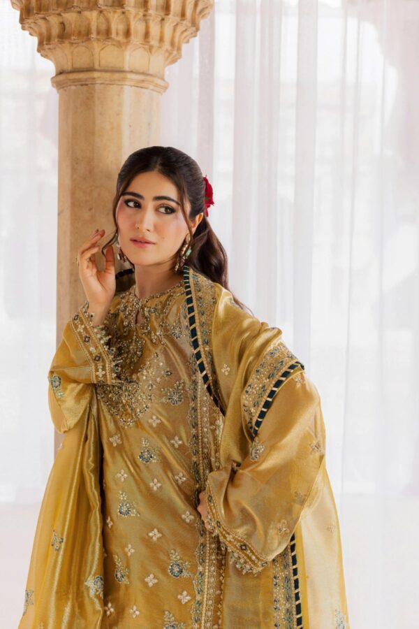 Rang Rasiya Chatoyer Wedding Formals 26 Dora– Dora 2 Rang Rasiya Chatoyer Wedding Formals 26 Dora– Dora 2