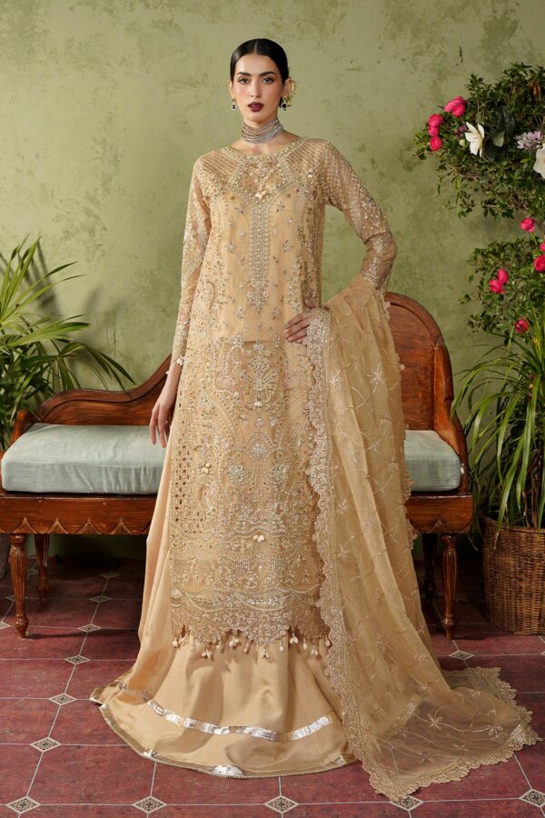 RHP02440 Maryam's Maahi Festive Collection 2026 - MM-05-Raeni