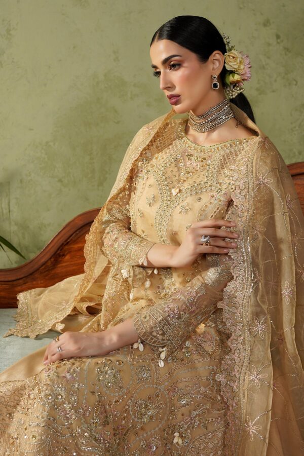 Rhp02482 Maryam's Maahi Festive Collection 2026 - MM-05-Raeni– RHP02482